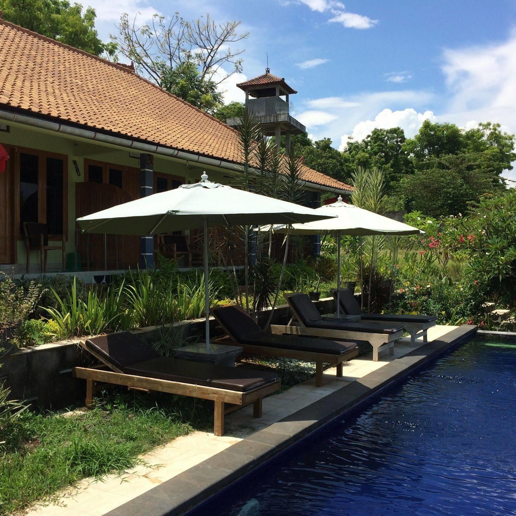 Bali Natur Lovina Dış mekan fotoğraf