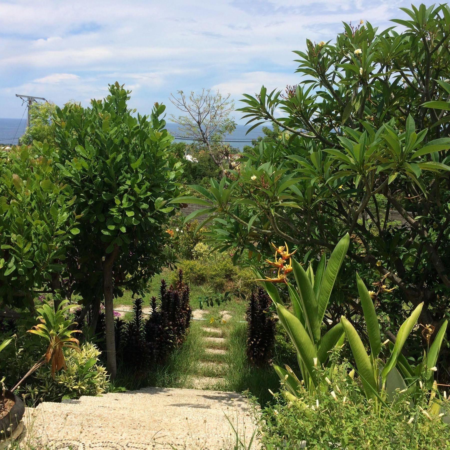Bali Natur Lovina Dış mekan fotoğraf