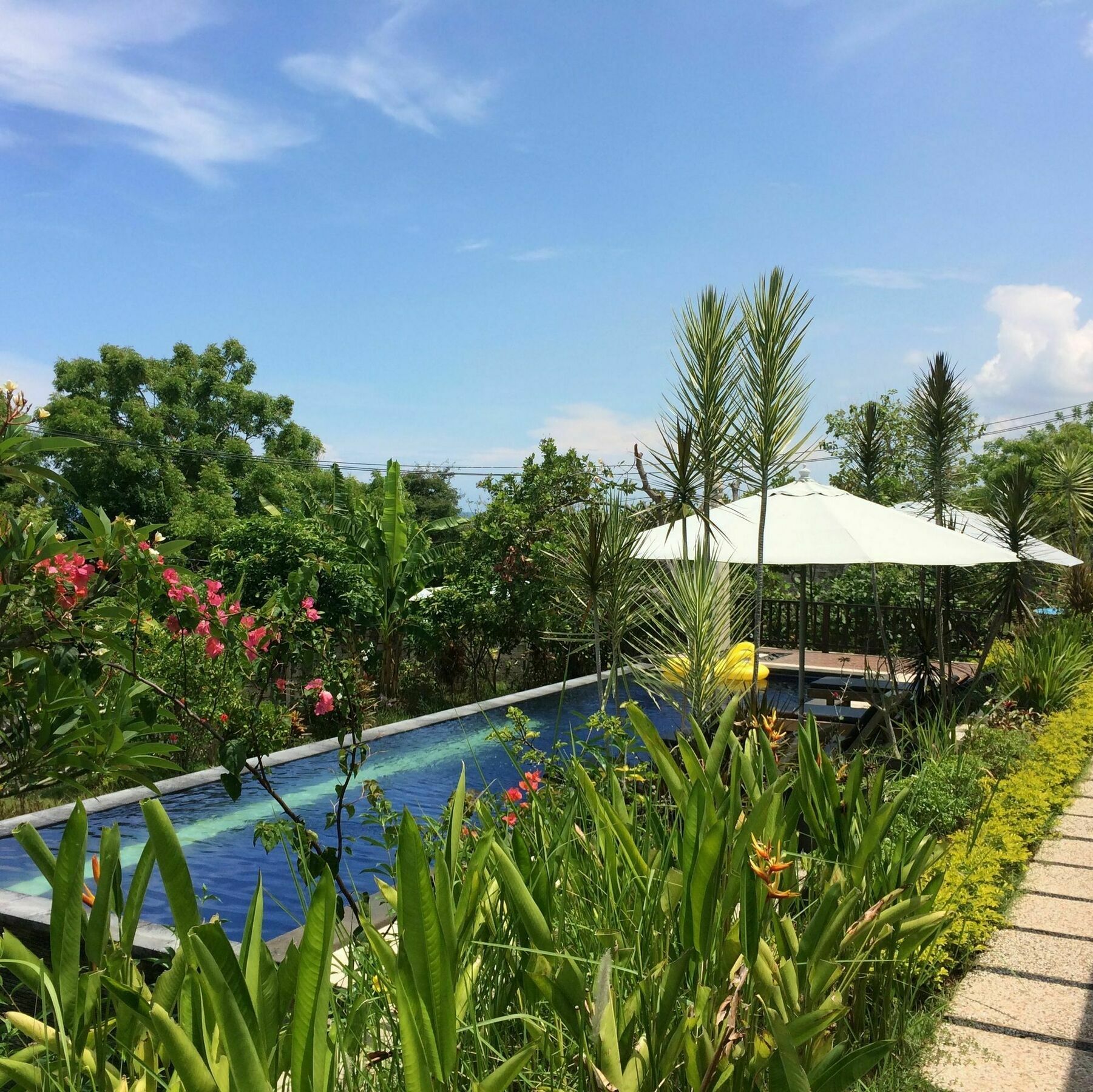 Bali Natur Lovina Dış mekan fotoğraf