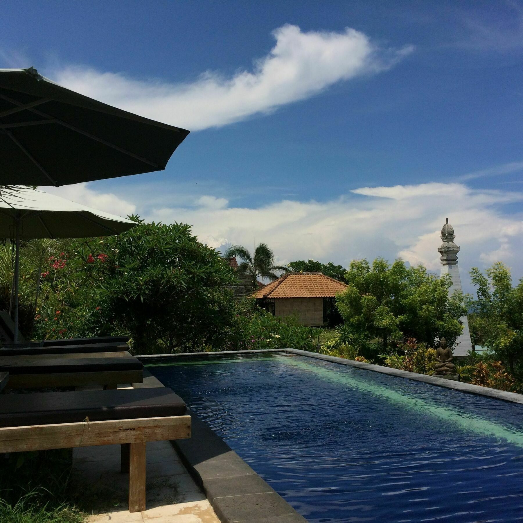 Bali Natur Lovina Dış mekan fotoğraf